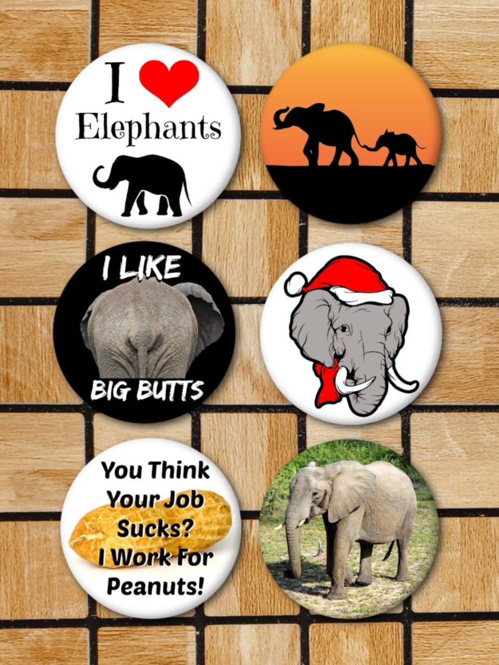 Elephant Fridge Magnets - Set Of 6 Metal Magnets Home Office Kitchen School